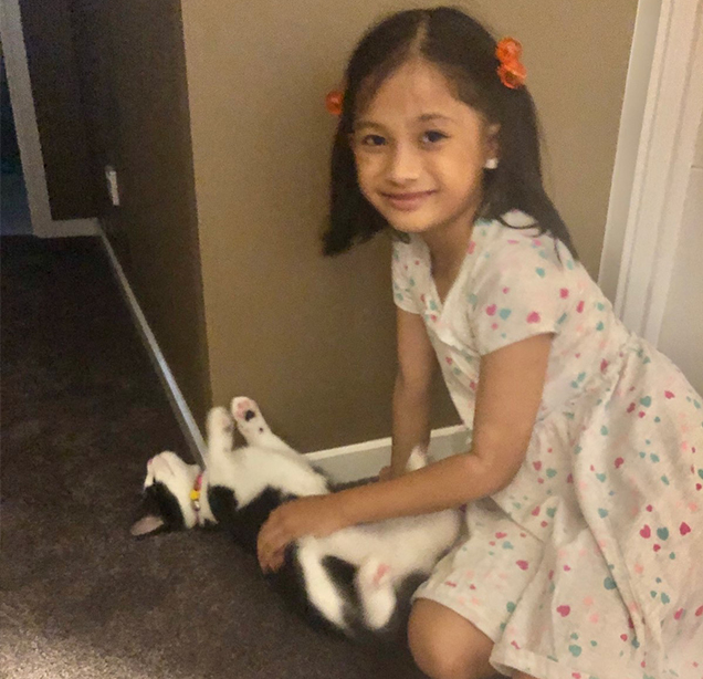 luna the cat's new happy family